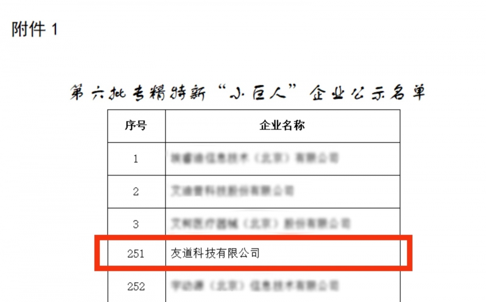 公示名单-马赛克版